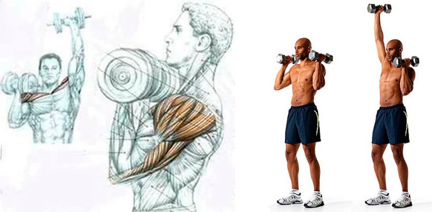 Esercizio per i muscoli della cintura superiore